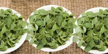 Ingredient Spotlight: Fenugreek