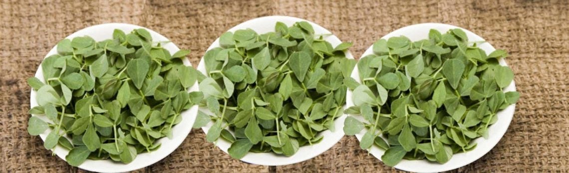 Ingredient Spotlight: Fenugreek