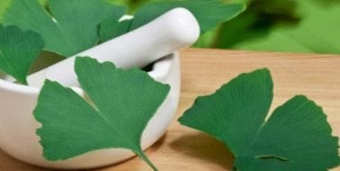 Ginkgo biloba zur Steigerung der Energie und Libido