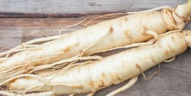 Panax Ginseng: The King of Natural Energy Supplements