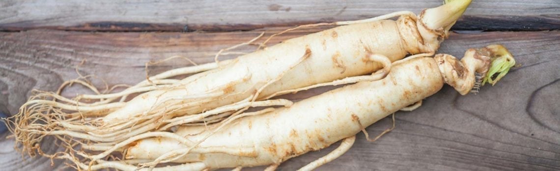 Panax Ginseng: The King of Natural Energy Supplements