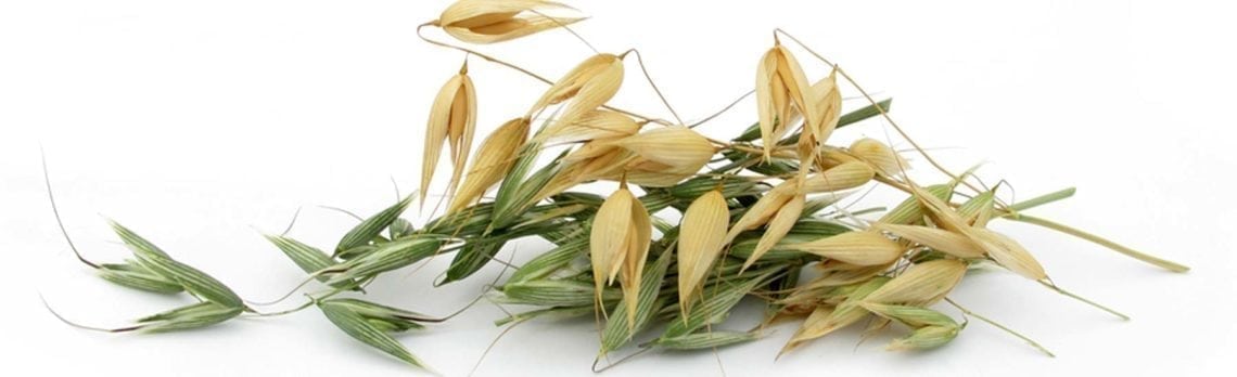 Ingredient Spotlight: Avena Sativa for Women Low Libido