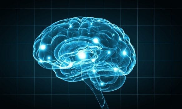 Estrogen Levels and Low Libido: The Little-Known Link 1