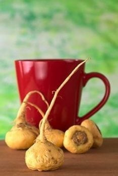 Increase Energy Naturally With Maca, the Ancient Incan Coffee Alternative