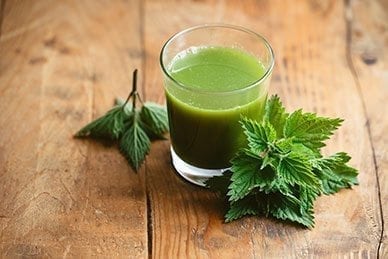 Ingredient Spotlight: Stinging Nettle Supports Men's Sexual Health & Libido