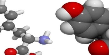 Ingredient Spotlight: L-Tyrosine for Women