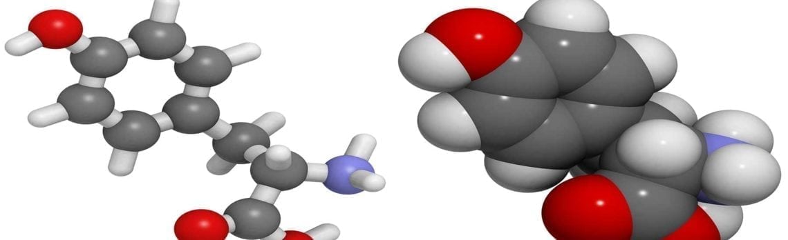 Ingredient Spotlight: L-Tyrosine for Women