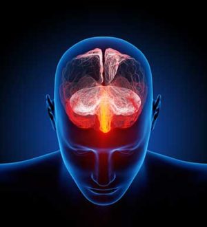 The Damaging Effects of Stress on Memory, Learning and Perception ...