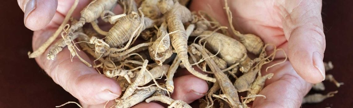 5 Sexual Health Benefits of Ginseng for Men