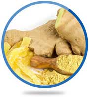 Ginger Root Extract