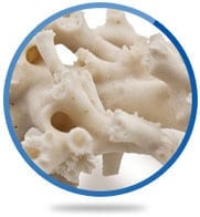 Coral calcium