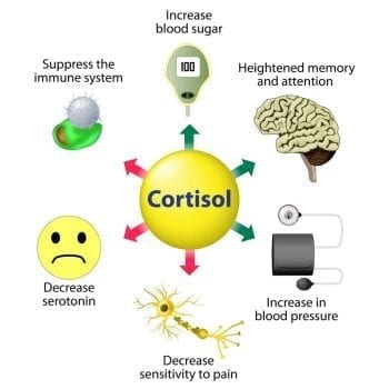 How Chronic Stress Can Destroy Your Health 2