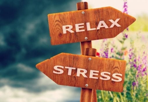 The Ultimate Stress Guide: Everything You Need to Know About Stress & Relaxation 1