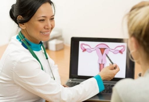 Could the Uterus Play a Role in Memory? 2