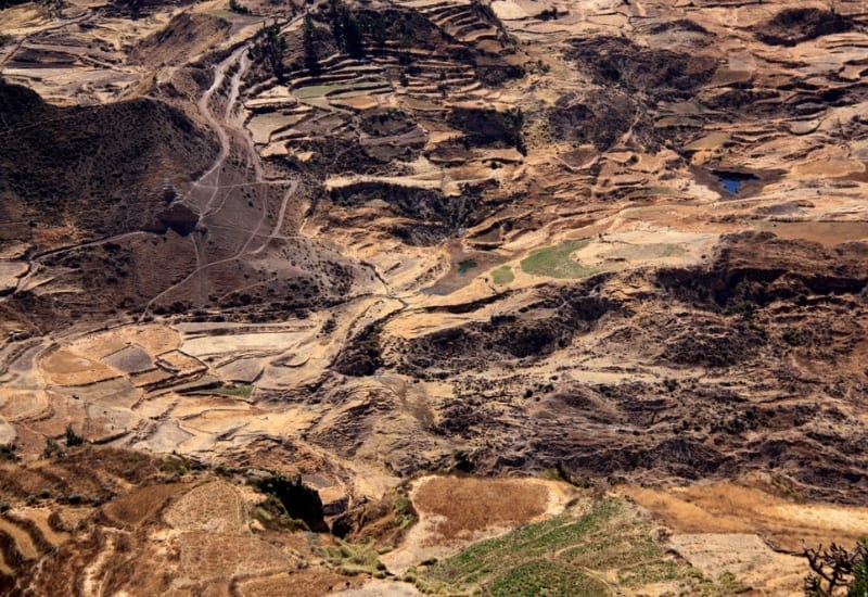 Herbal Powerhouse Maca Benefits Hormone Balance, Energy, Libido And